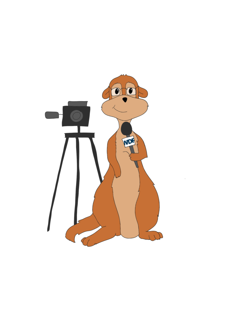 Leo mit Kamera